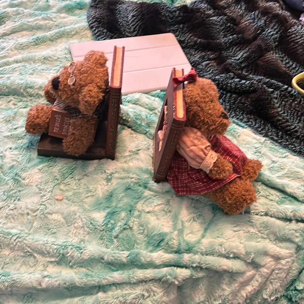 Book shelf holder